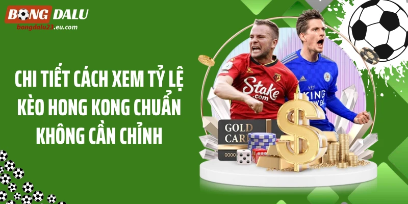 Chi tiết cách xem tỷ lệ kèo Hong Kong chuẩn không cần chỉnh