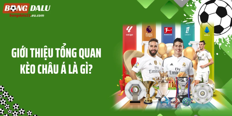 Giới thiệu tổng quan kèo châu Á là gì?