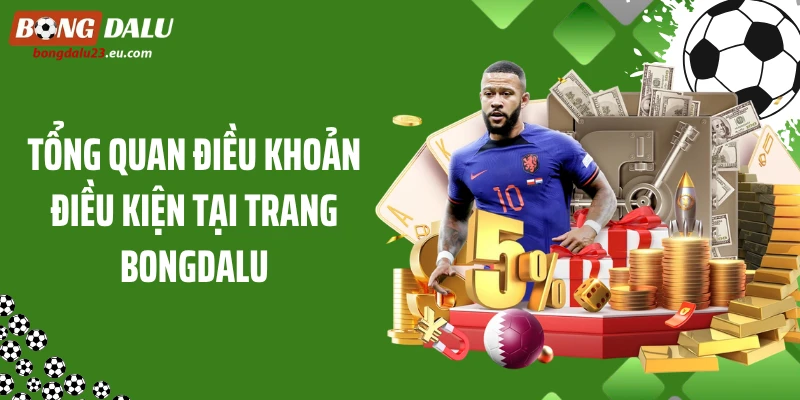 Tổng quan điều khoản điều kiện tại trang Bongdalu