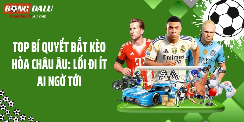 Top Bí Quyết Bắt Kèo Hòa Châu Âu: Lối Đi Ít Ai Ngờ Tới
